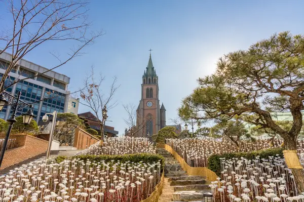 myeongdong-catholic-cathedral-seoul-south-korea-roman-catholic-church-community-korea